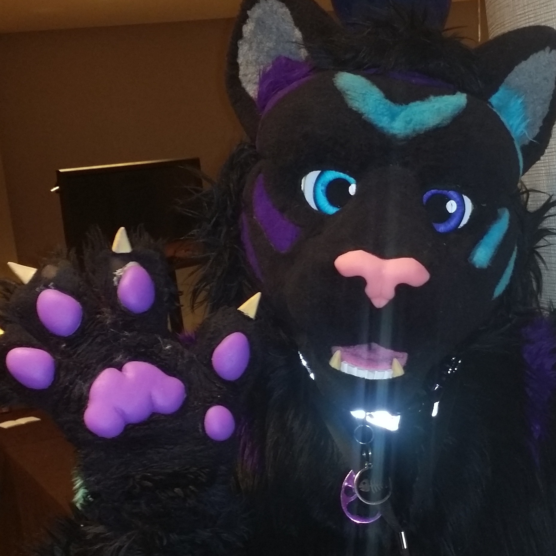 ShadowKat Waving Hello