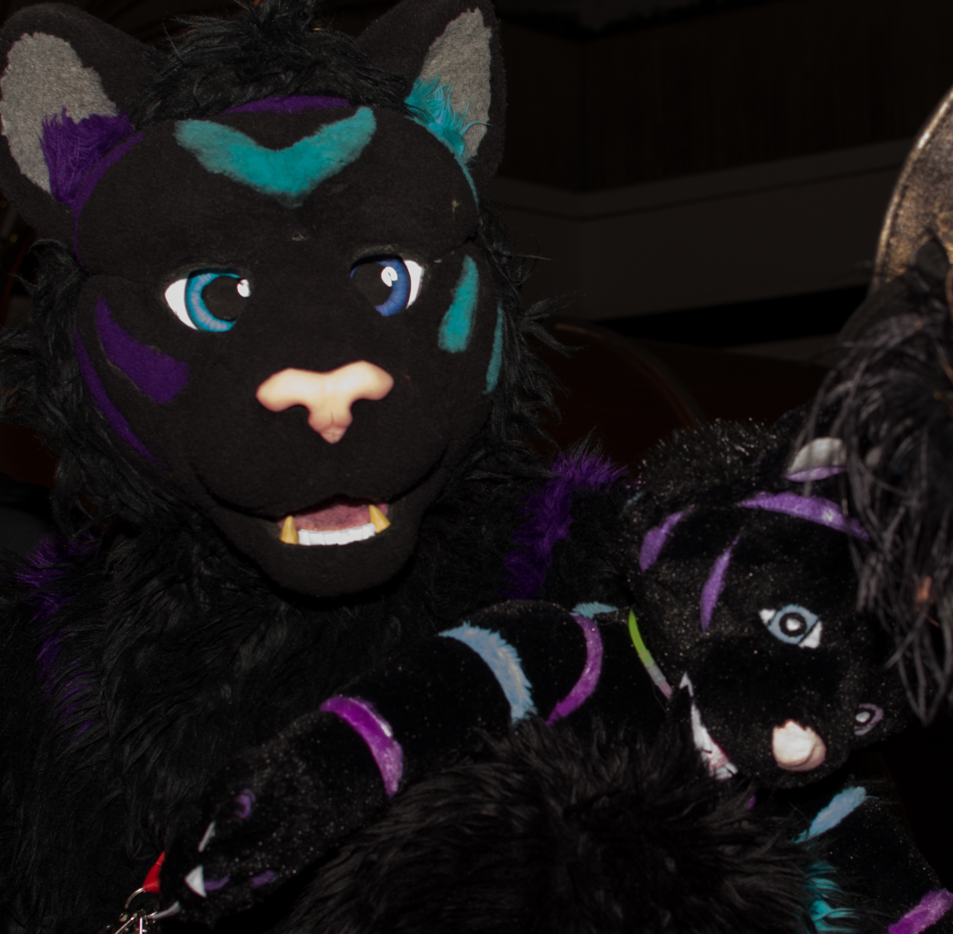 ShadowKat with plush toy ShadowKat