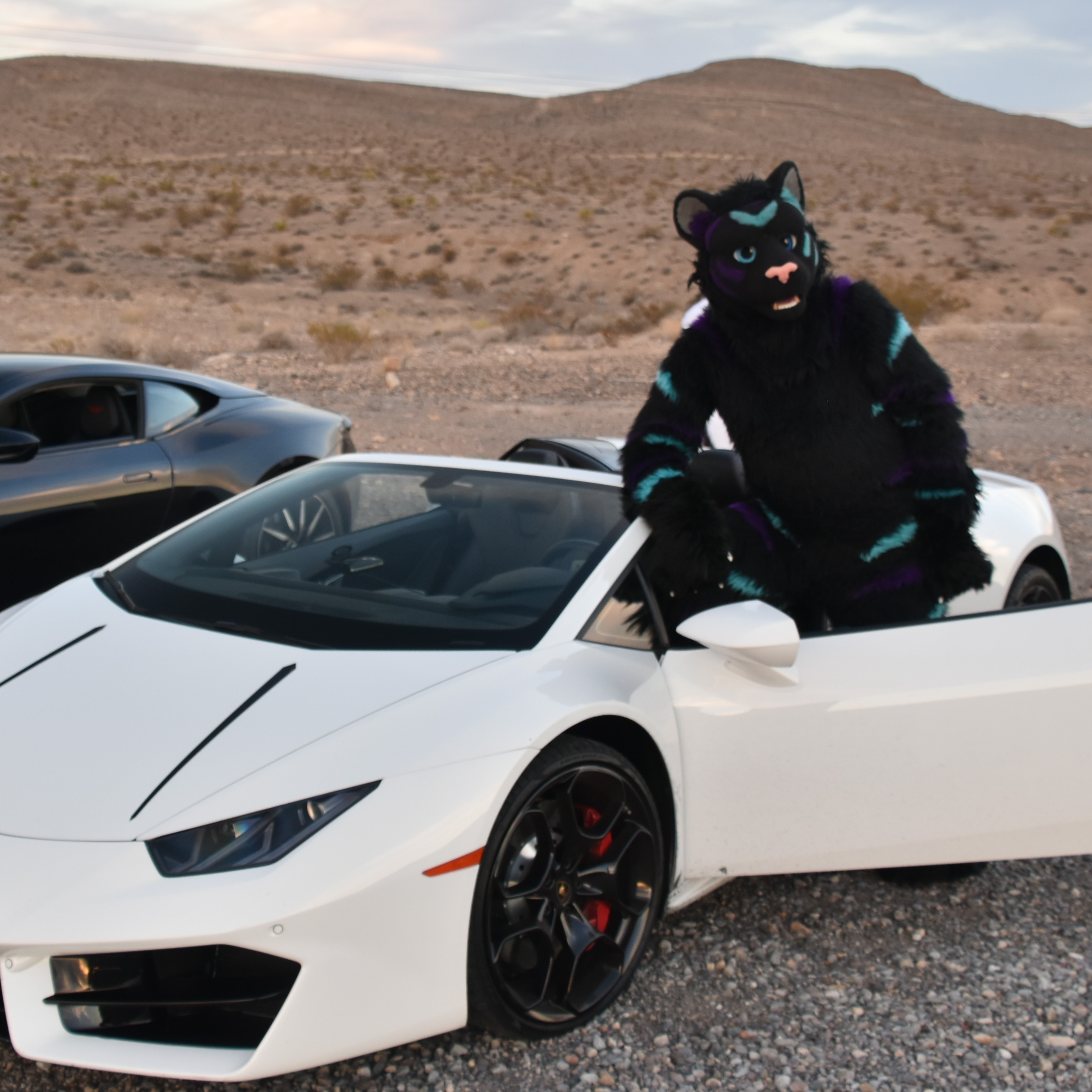 ShadowKat with a Car